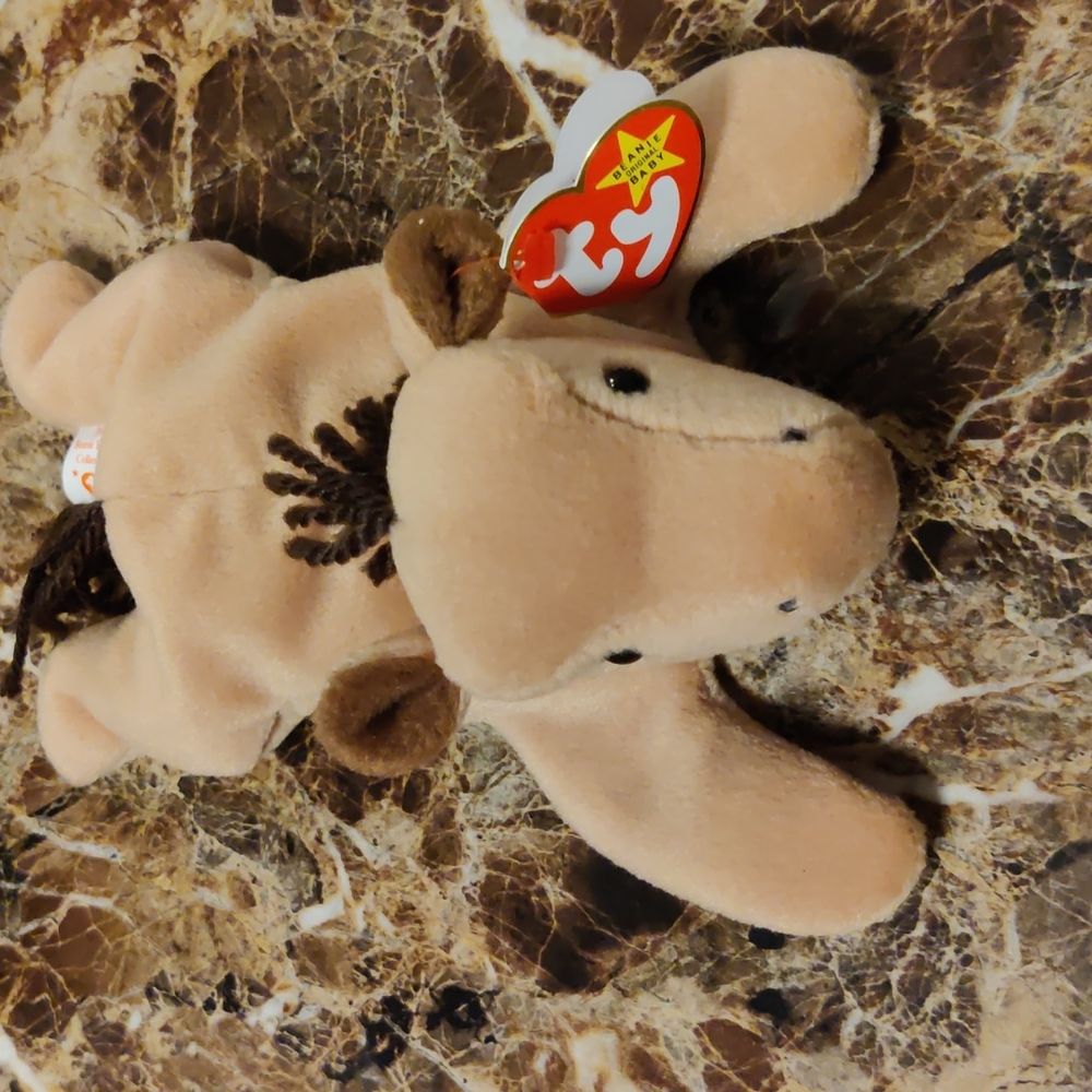 Derby Ty beanie baby